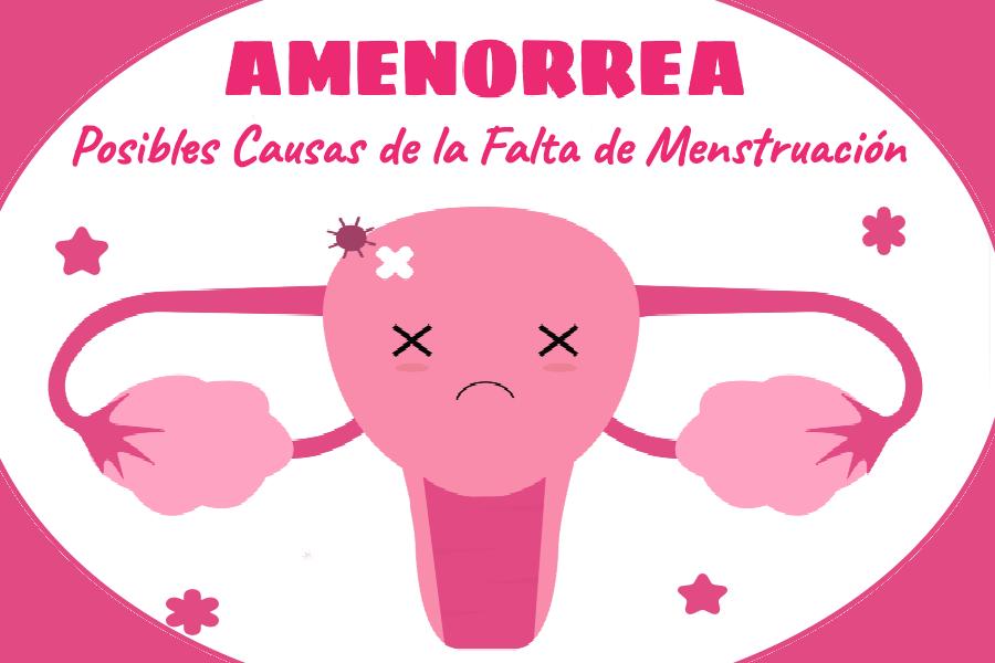 Amenorrea. Posibles causas de la ausencia de menstruación