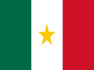 Bandera Coahuila