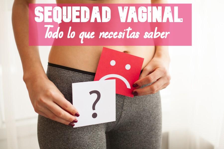 Sequedad vaginal, te lo contamos todo